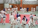 12.Int. Tübinger Judo-Fortbildung 2017
